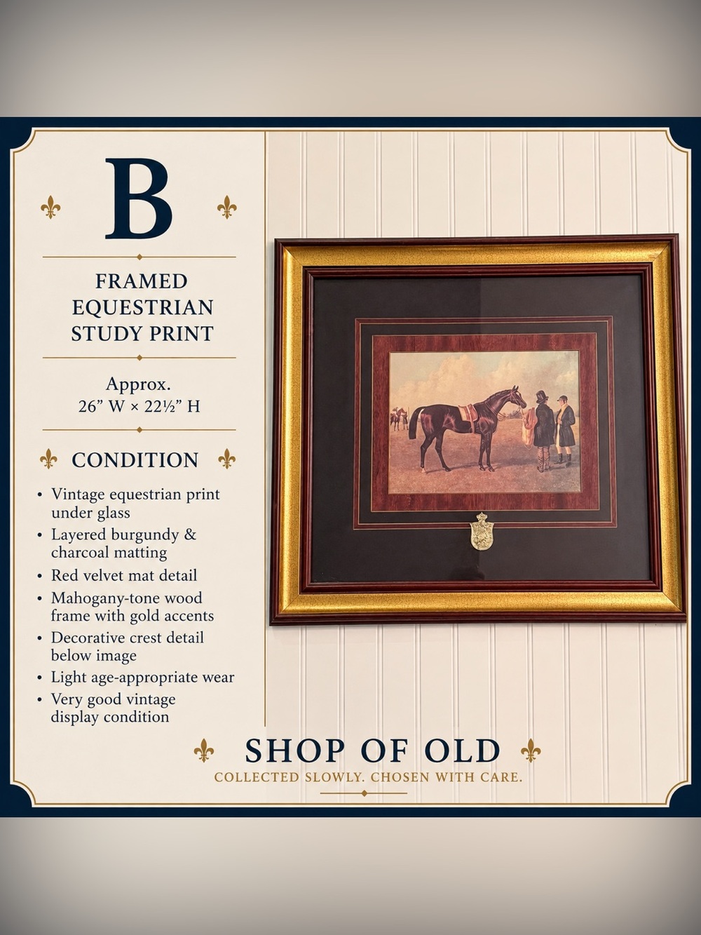 Framed Equestrian Study Print with Velvet Matting